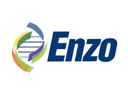 thumbnail_enzo